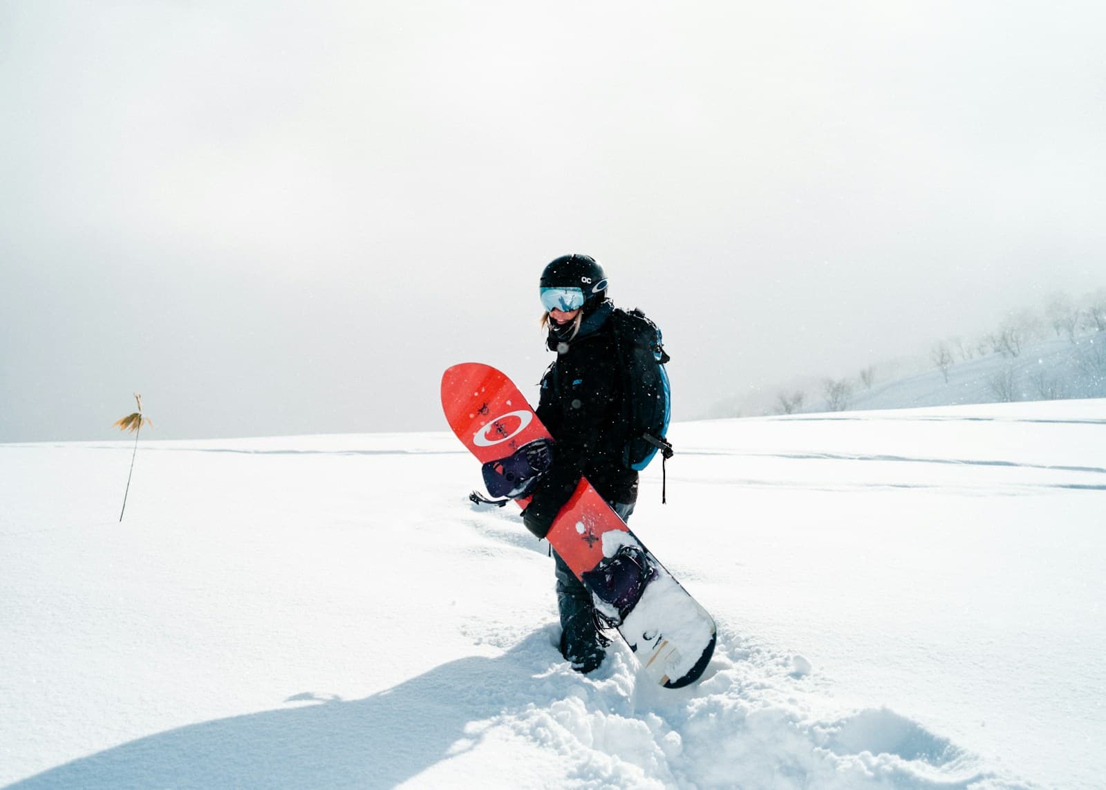 Hokkaido Deep Powder